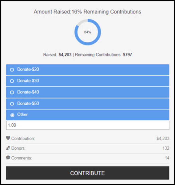 Campaign Widget Example, Picture