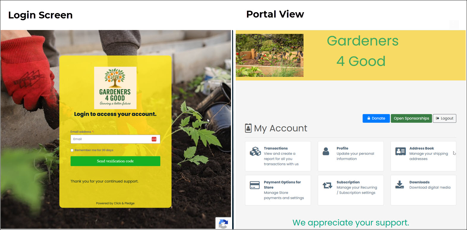 Portal View.jpg