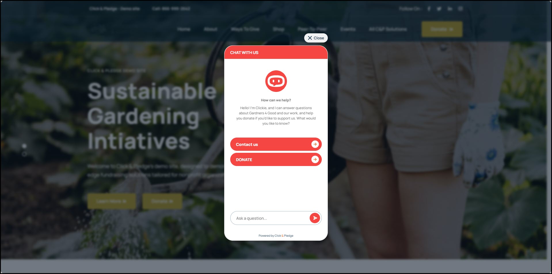 Donate Button on Website 2 with overlay.jpg